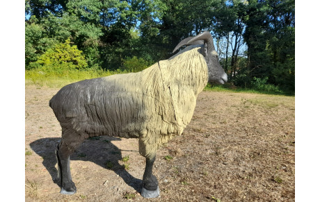Concours de tir 3D de Thiers 2026