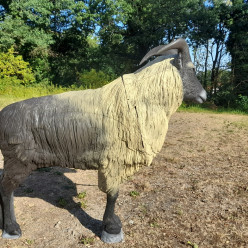 Concours de tir 3D de Thiers 2026